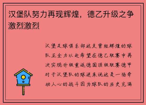 汉堡队努力再现辉煌，德乙升级之争激烈激烈